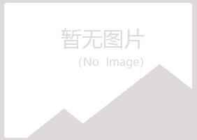 鹤岗东山牵手建设有限公司